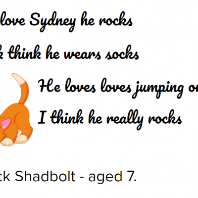 Inspired by Michael Rosen, Jack wrote a poem about his cat Sydney!