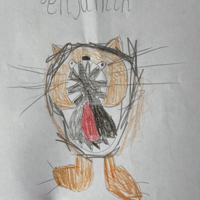 Inspired by Jo Empson, Ben from Greasby Infants sent us his lovely lion