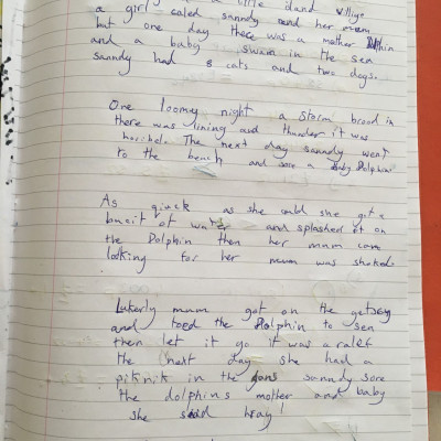 Dolphin Story by Sofia, age 8