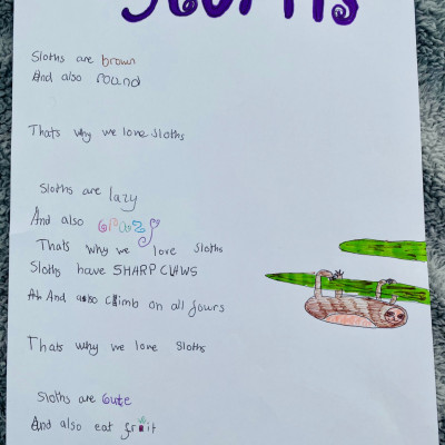 Inspired by Michael Rosen, Chloe Ferris sent us this poem about Sloths